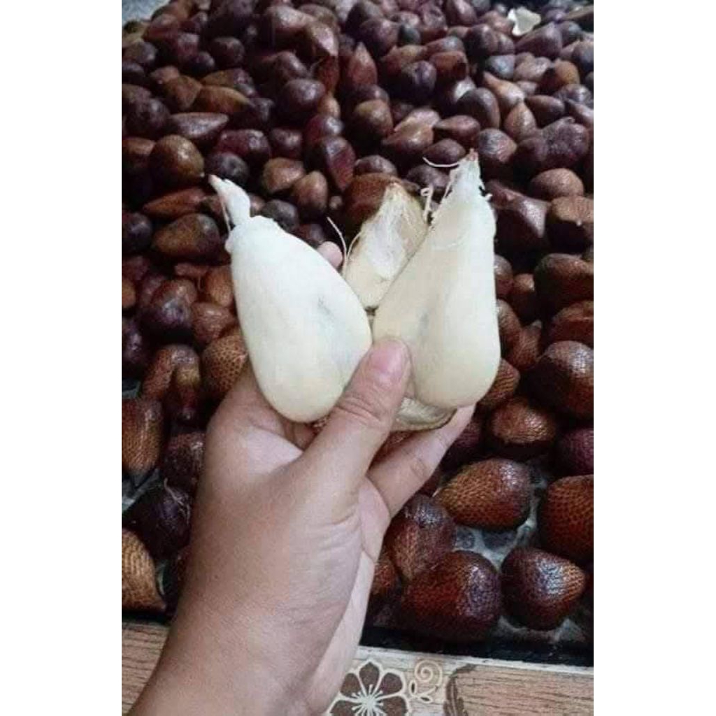 

Salak Pondo manis pronojiwo