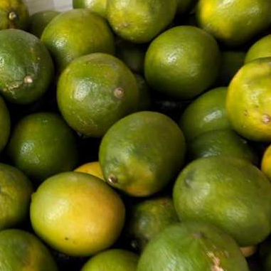 

Lemon California Lokal Medan Daily Market