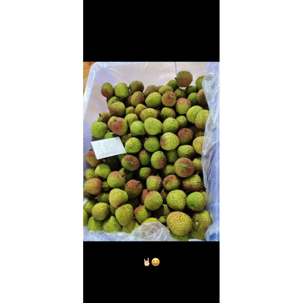 

BUAH LECI IMPORT 600GRAM PACK