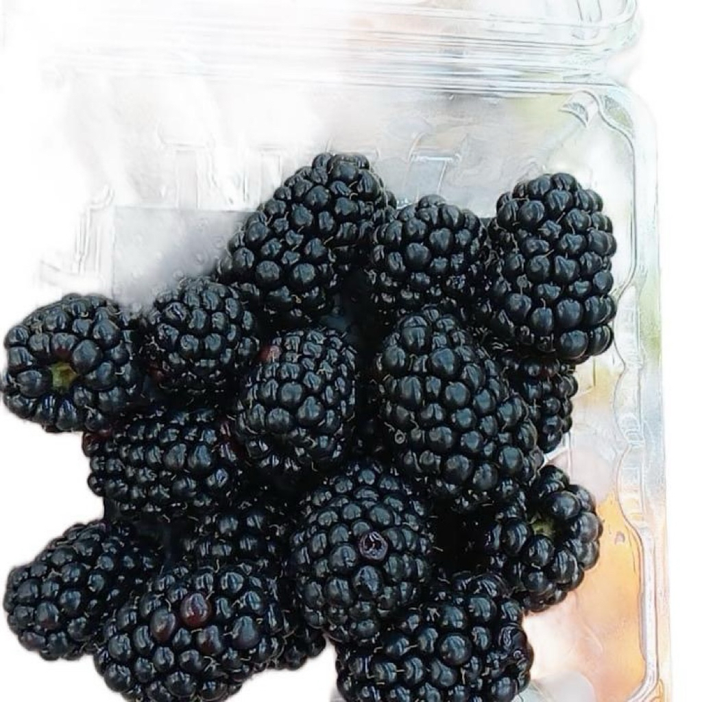 

Buah Blackberry Driscol | Blackberry Import 125gram | Pack