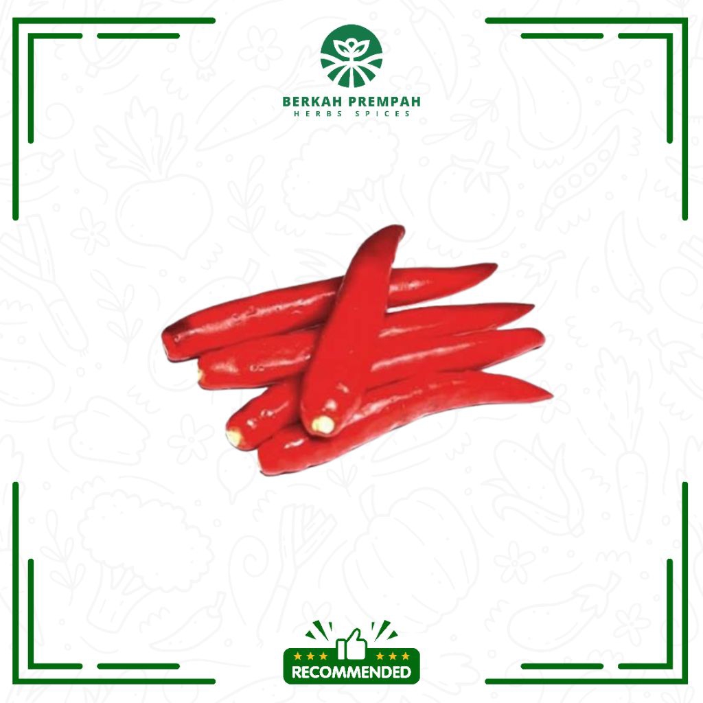 

Cabe merah besar petik segar - Berkahprempah