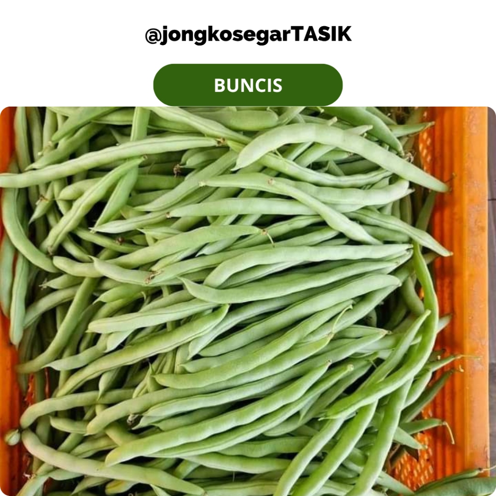 

jongkosegarTASIK - Buncis Fresh segar 100-500 gram