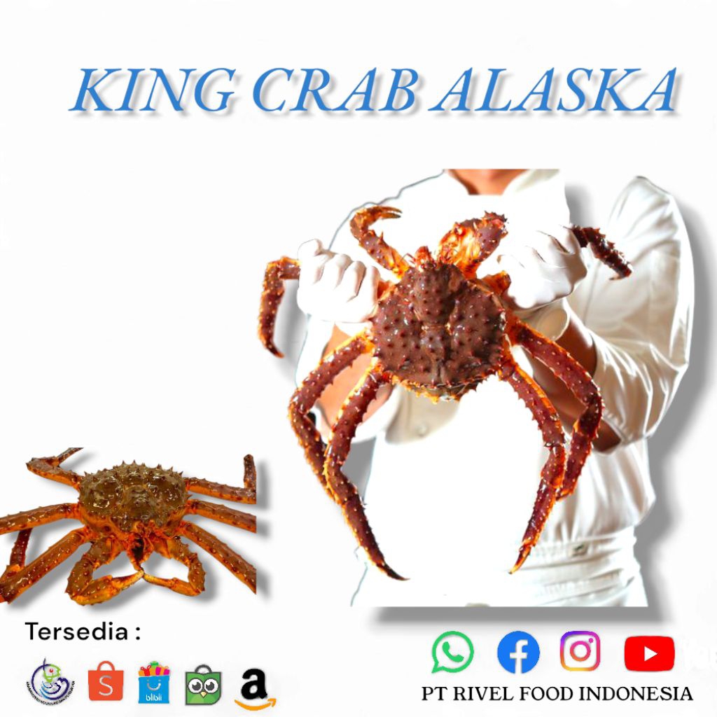 

Raja Kepiting Alaska / King Crab Import Frozen Utuh