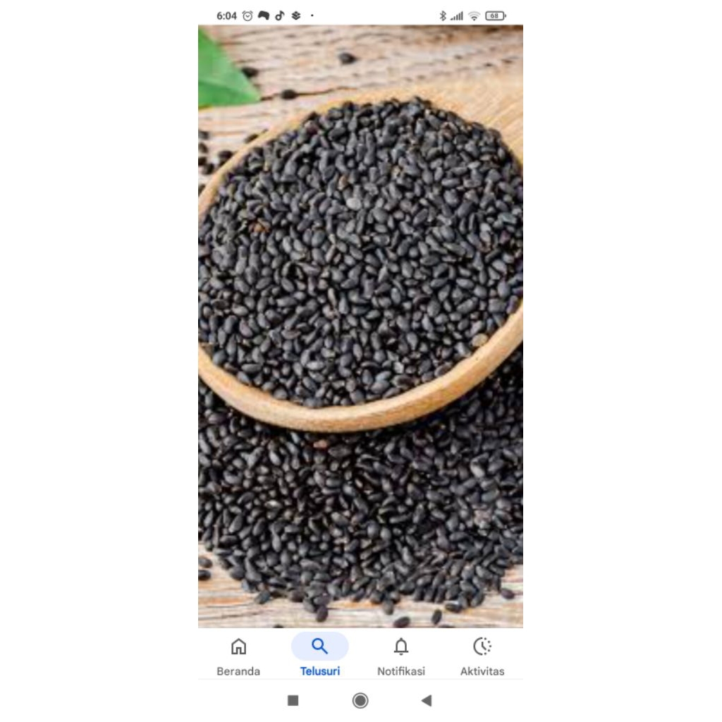 benih kemangi kemasan 1 kg