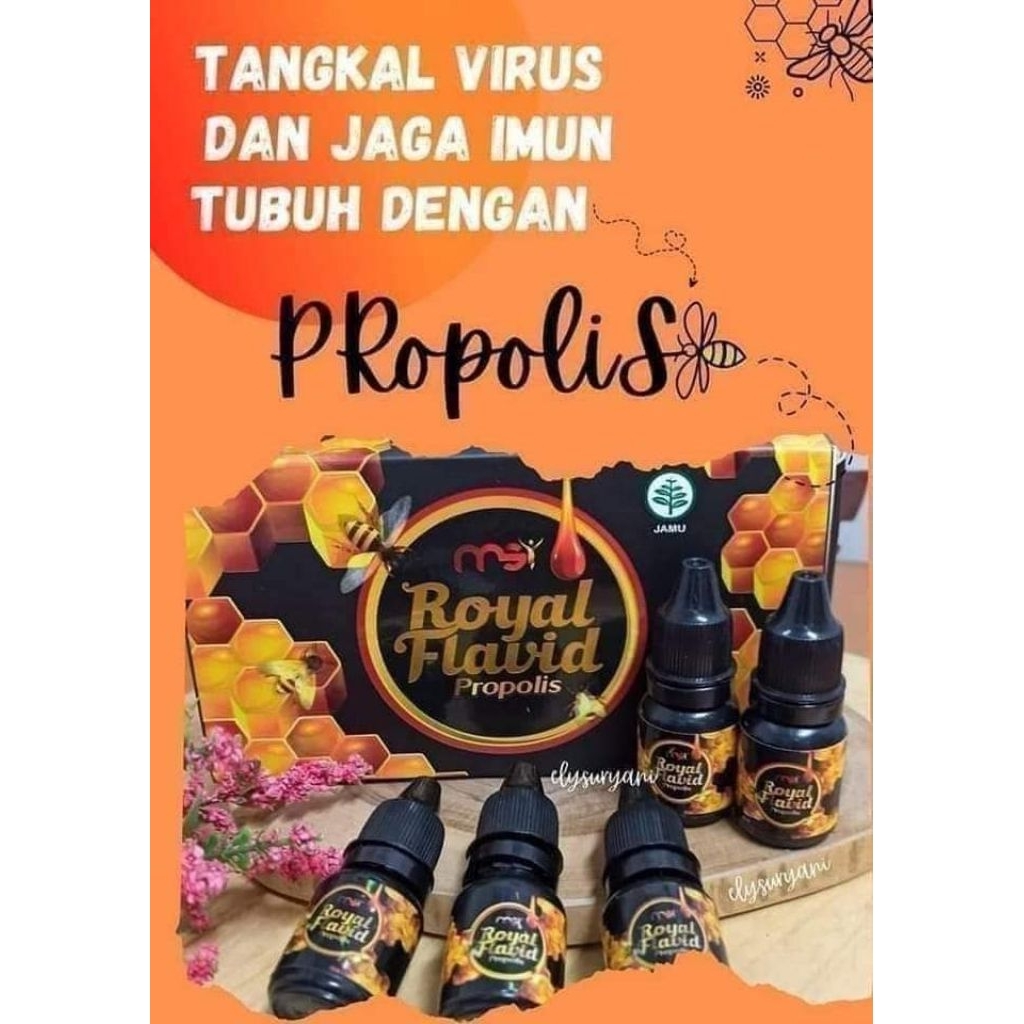 PROPOLIS MSI ORIGINAL