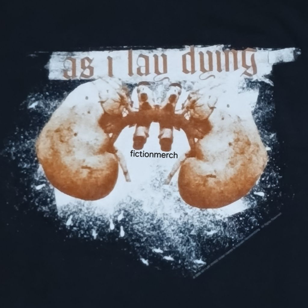 Kaos Band AS I LAY DYING import original Size XL - Kidneys NOS 2005 HANES