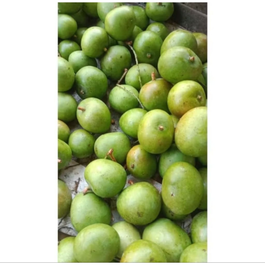 

Mangga Apel Muda Belah Biji 1kg
