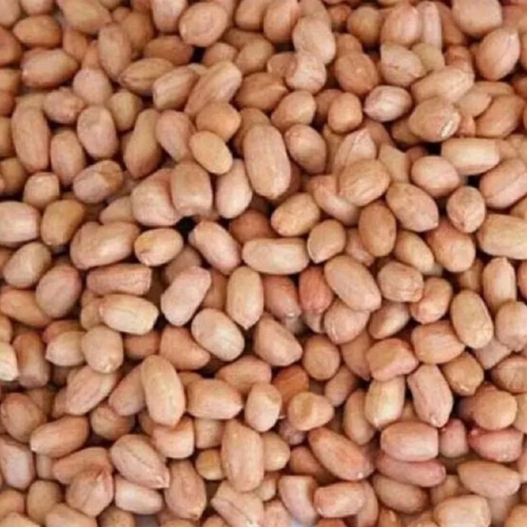

Kacang Tanah Mentah Curah 250 gr