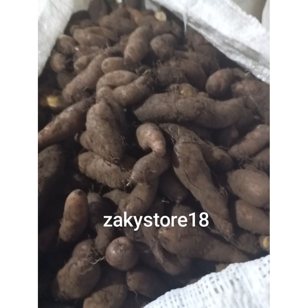 

kentang hitam/kentang kleci 1kg