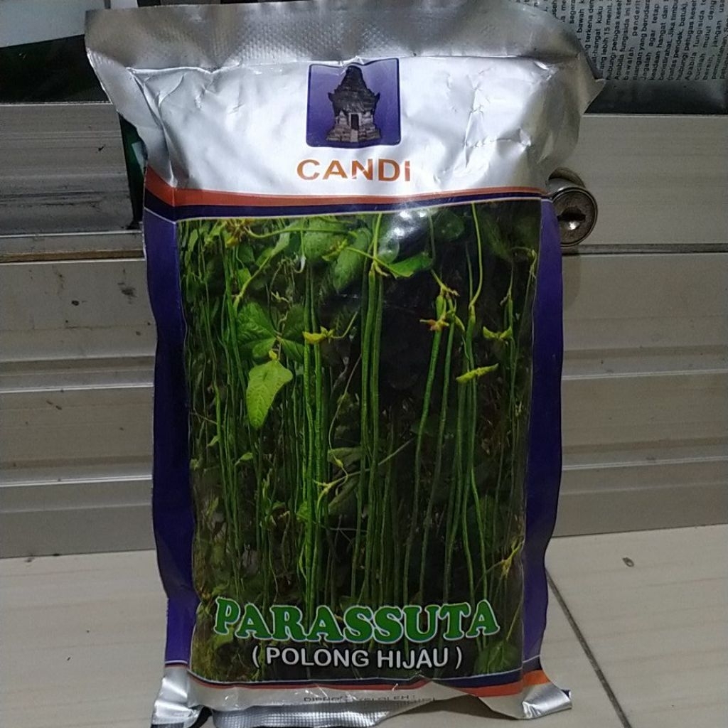

kacang panjang parassuta 500gr kacang panjang polong hijau
