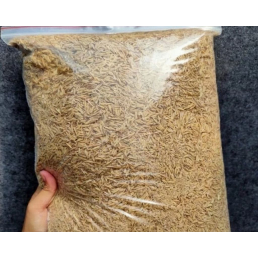 Sekam Padi Mentah Fermentasi