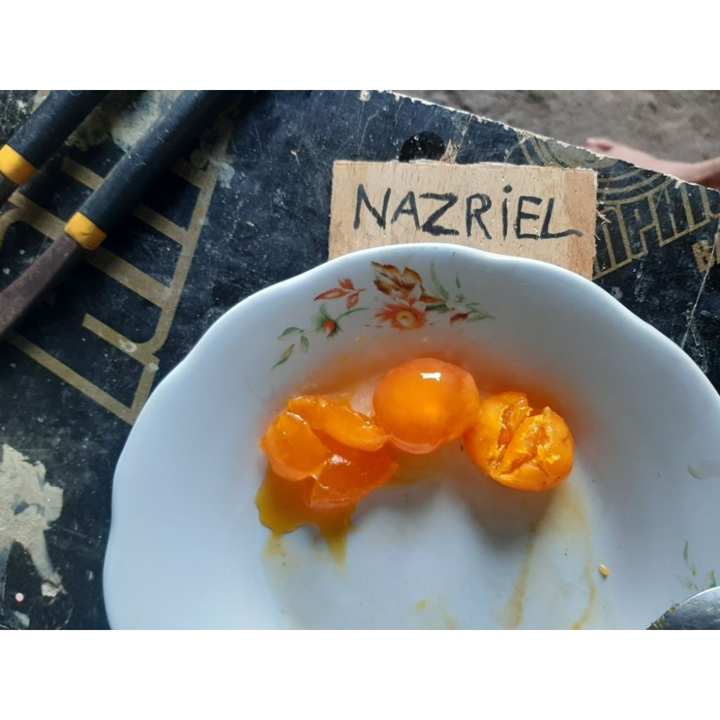 

kuning telur asin mentah