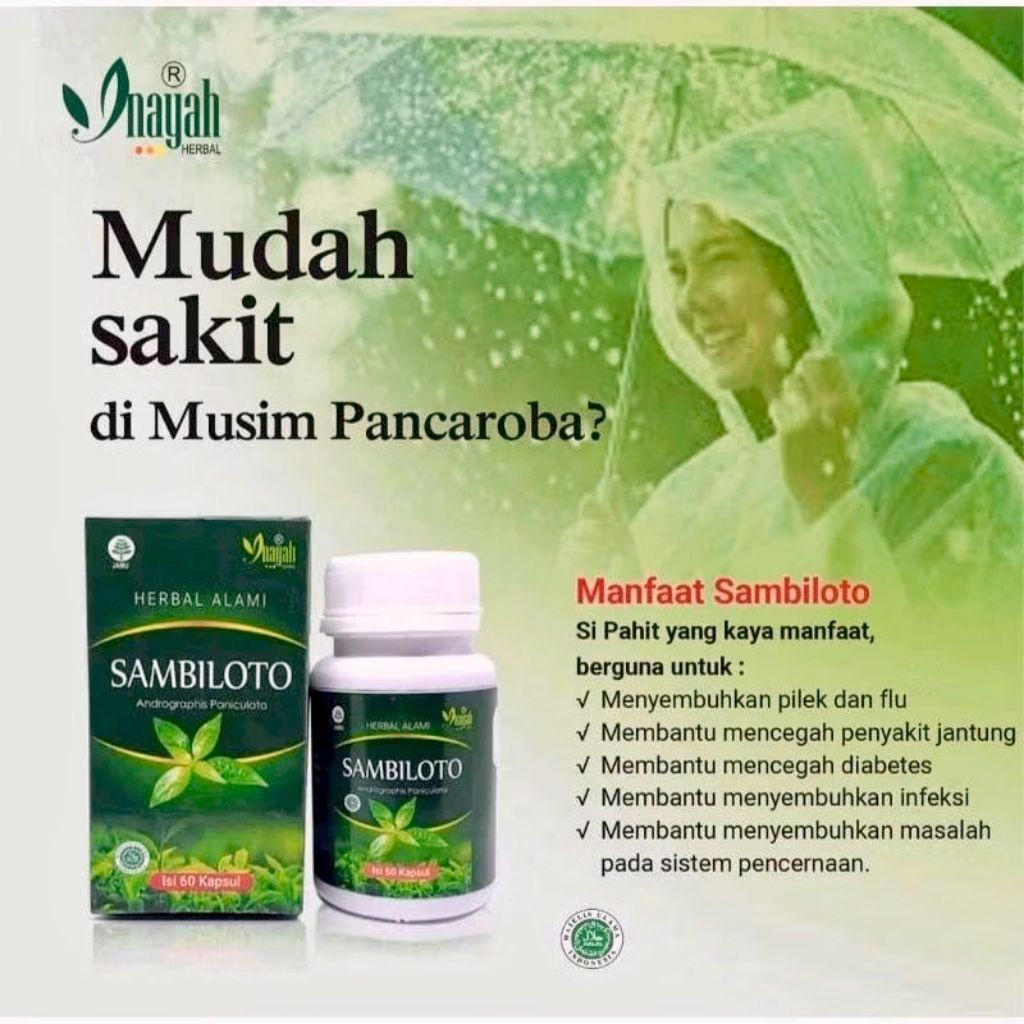 KAPSUL SAMBILOTO ANTIBIOTIK ALAMI