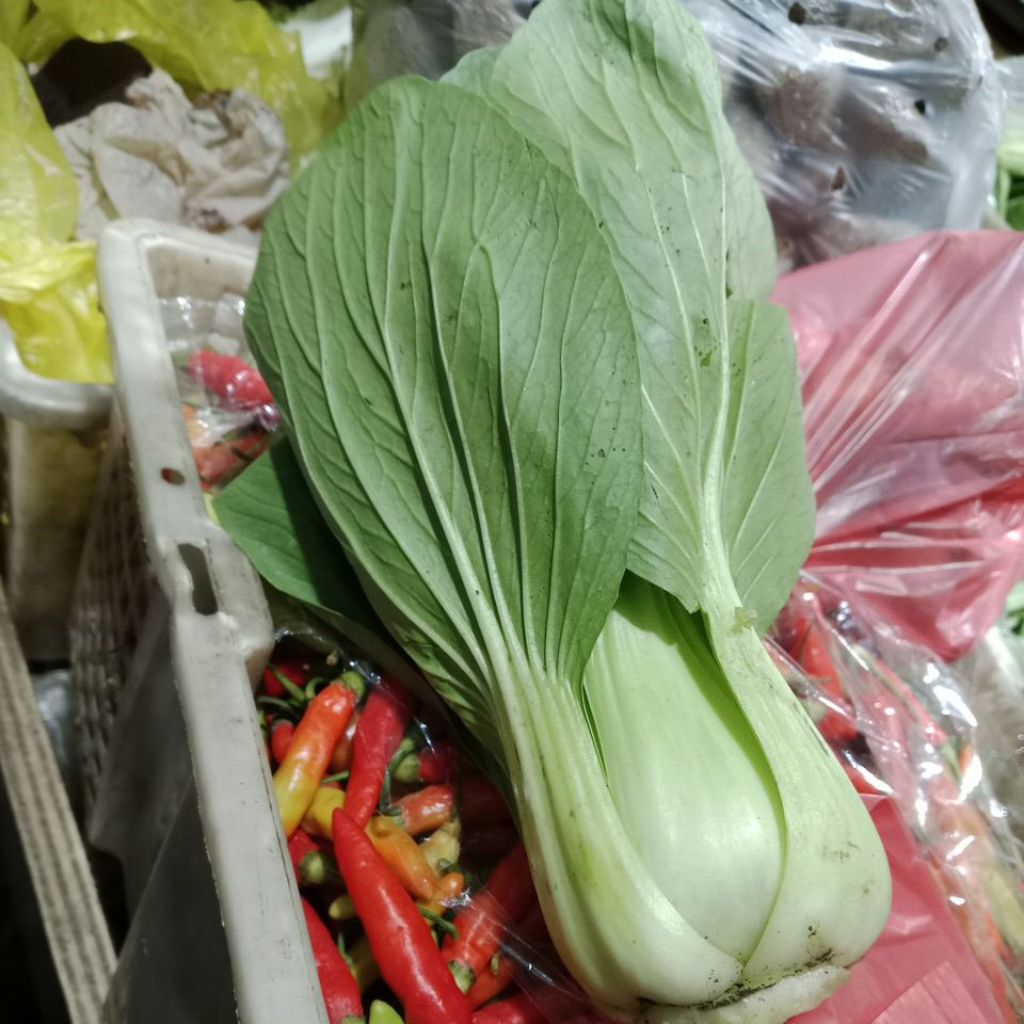 

sawi daging.250 gr-1 kg.