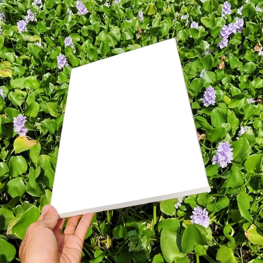 

Kanvas lukis ukuran 20x25cm: Harga Terjangkau, Kualitas Premium