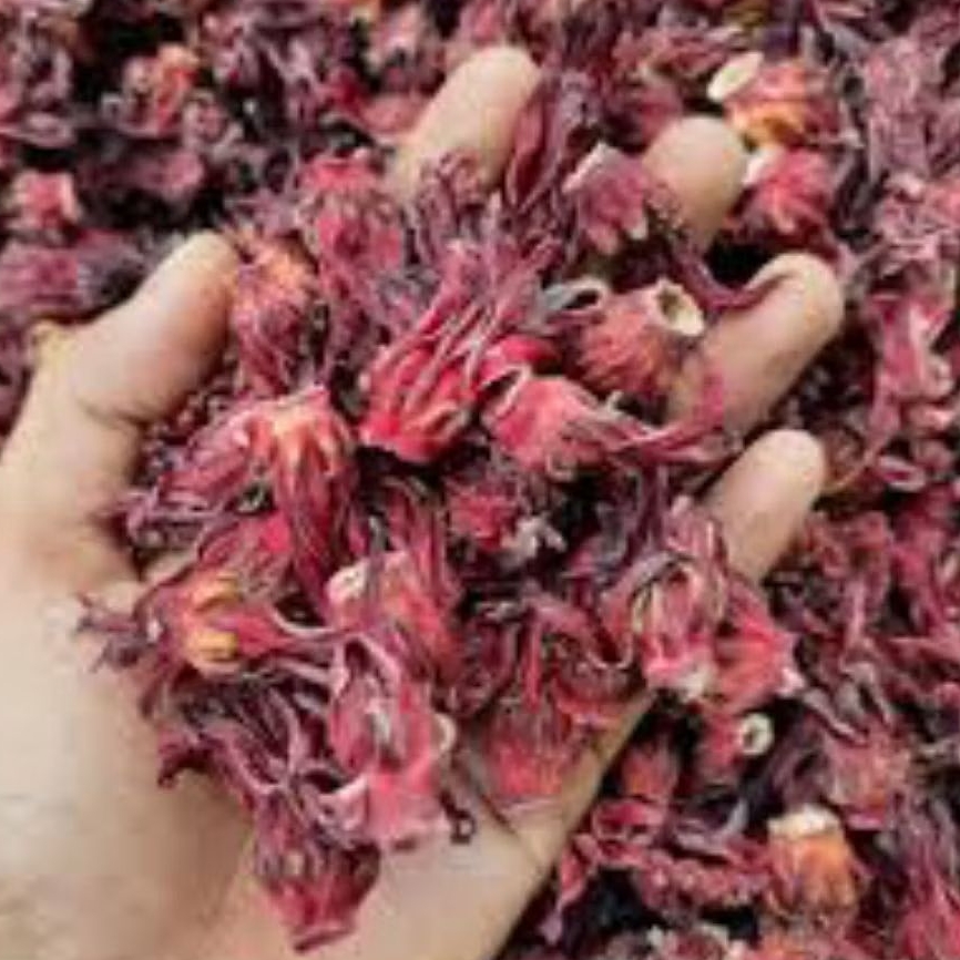

Bunga Rosella Merah isi 250 Gram Rosela merah kering 250gram