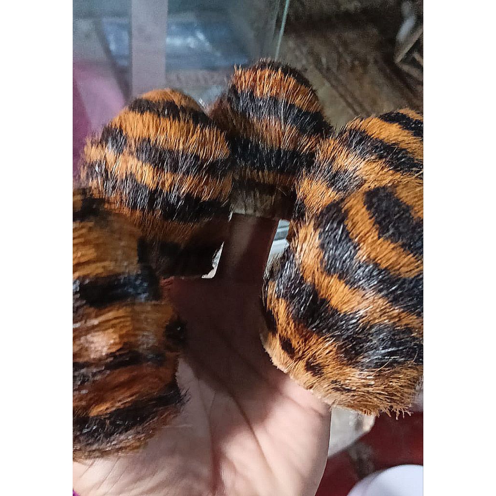 Kantong Macan Loreng Asli Kulit Kualitas Premium