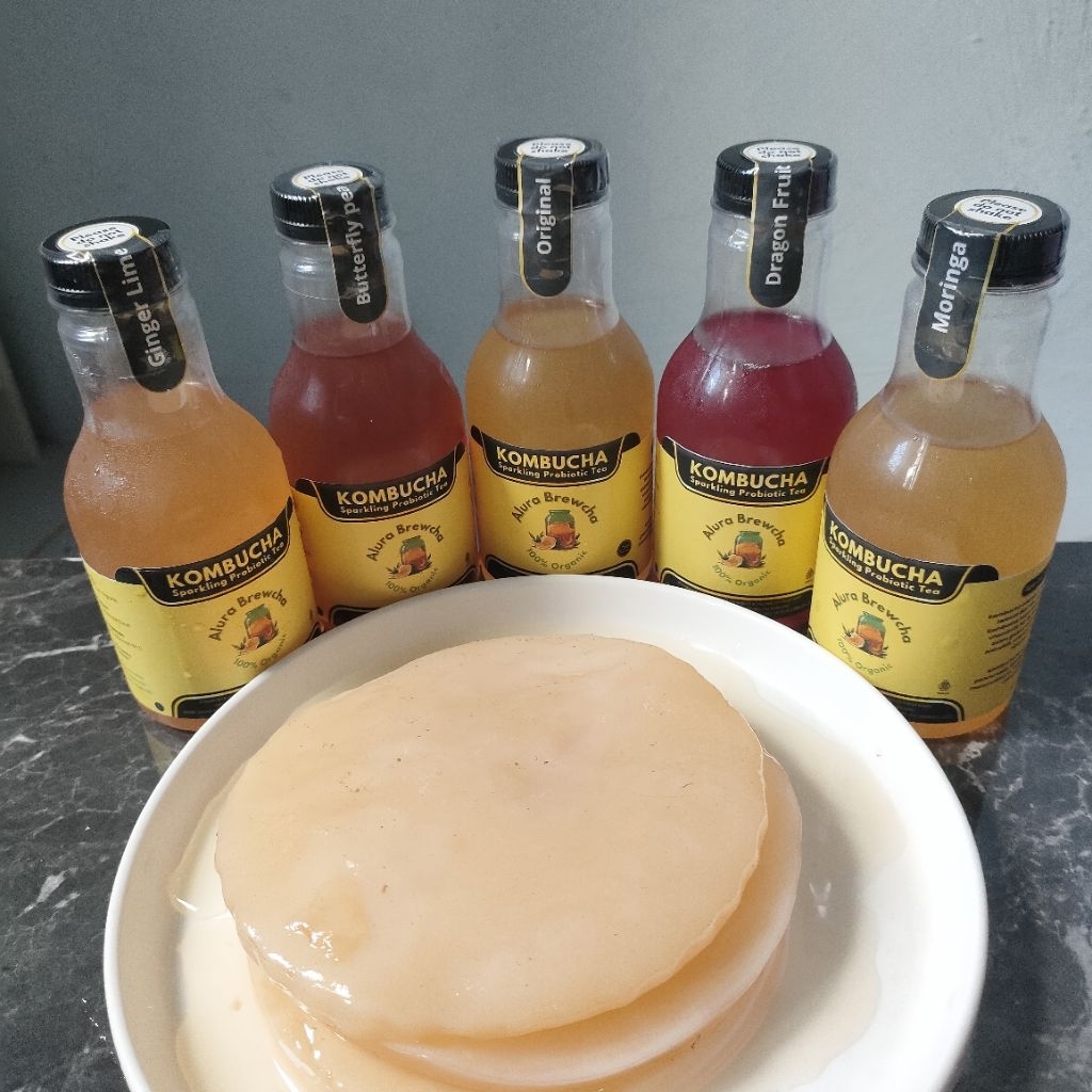 

Kombucha original sparkling organic tea | kombucha probiotik | bakteri baik kombucha