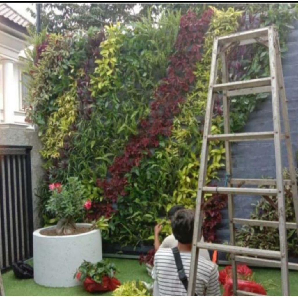 pembuatan vertical garden indoor