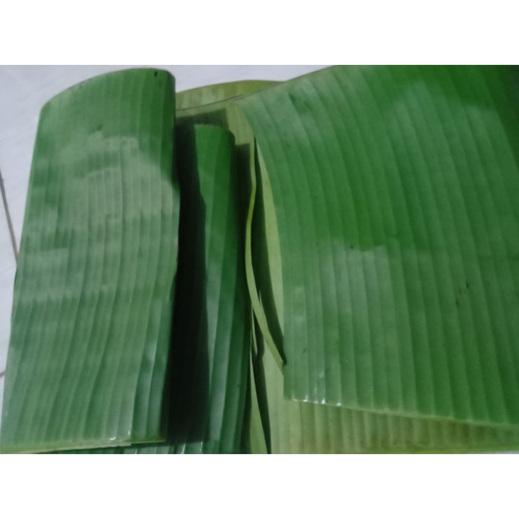 

daun pisang segar per kg