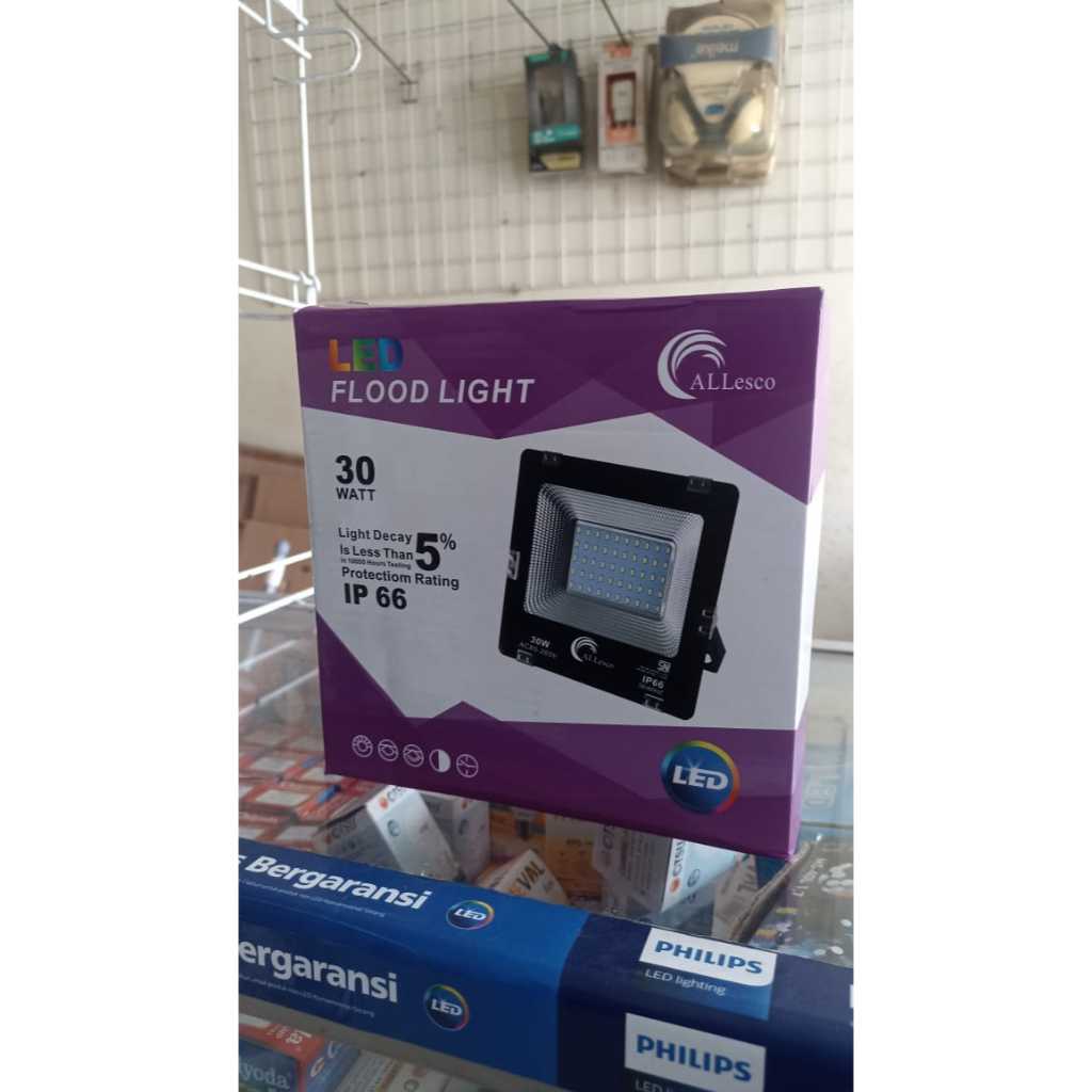 ALLESCO LED FLOOD LIGHT LAMPU SOROT 30/100 WATT