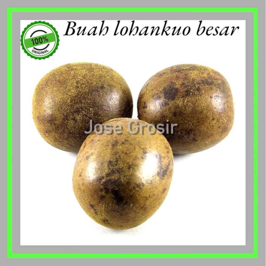 

BUAH LOHANKUO LO HAN KUO LO HAN GUO ASLI SEGAR BESAR