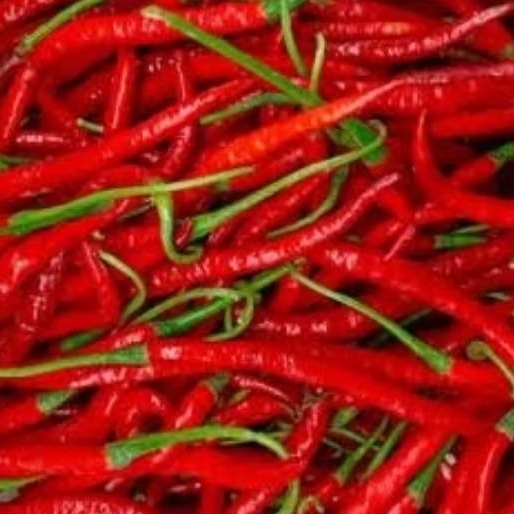 

Cabai Merah Keriting Pedas (CMK)