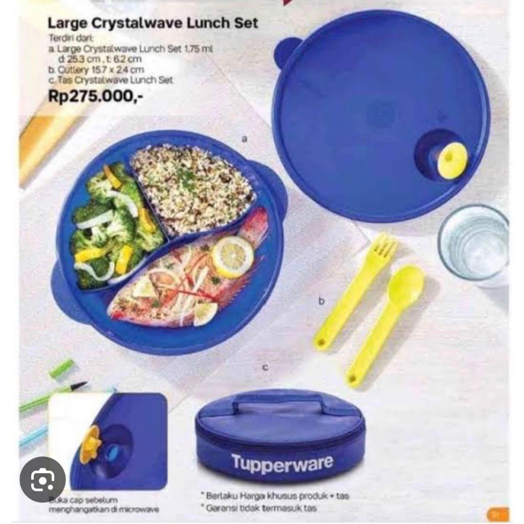 Large Crystalwave Lunch Set Tupperware / Crystalwave Divided Large Tupperware