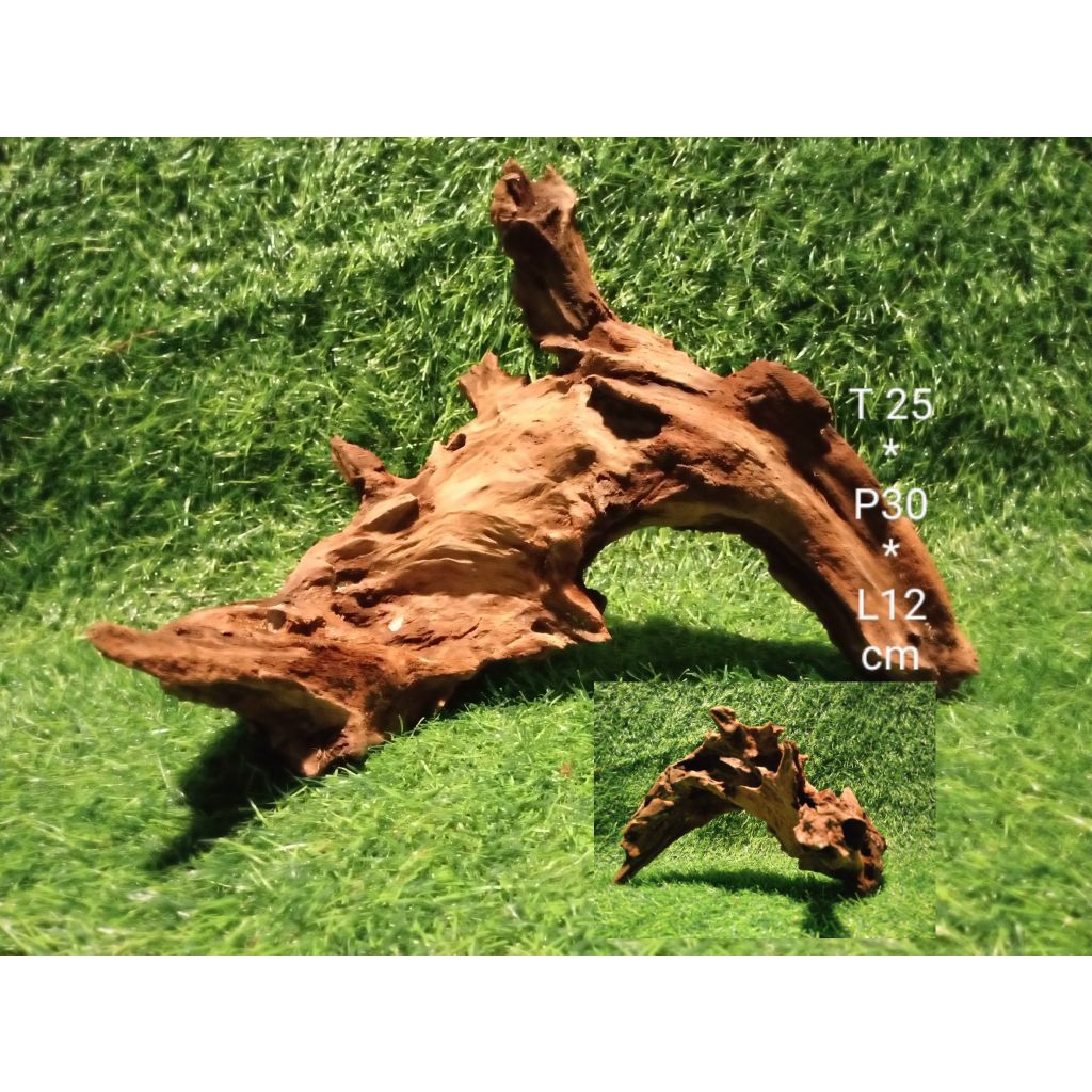 kayu rentek aquascape tenggelam