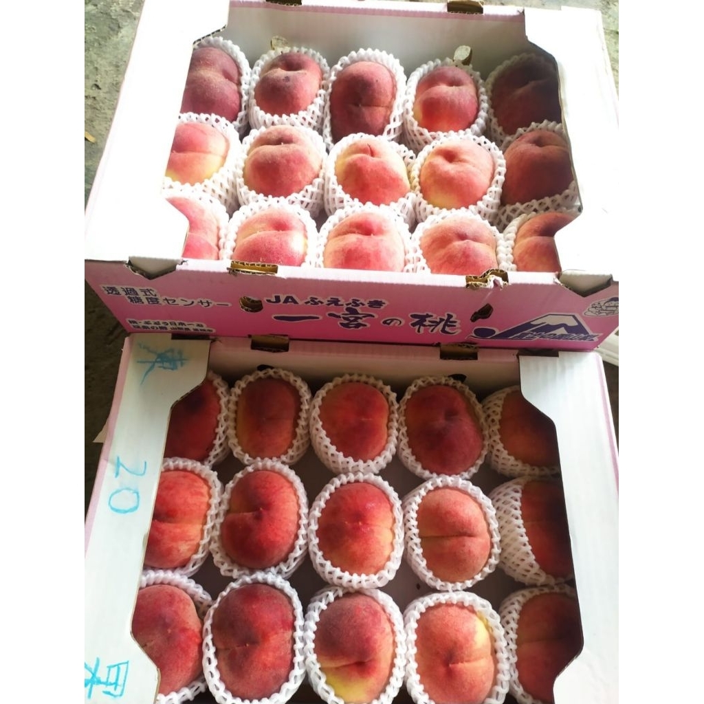 

Peach White Jepang Jumbo Manis Original 1 Box