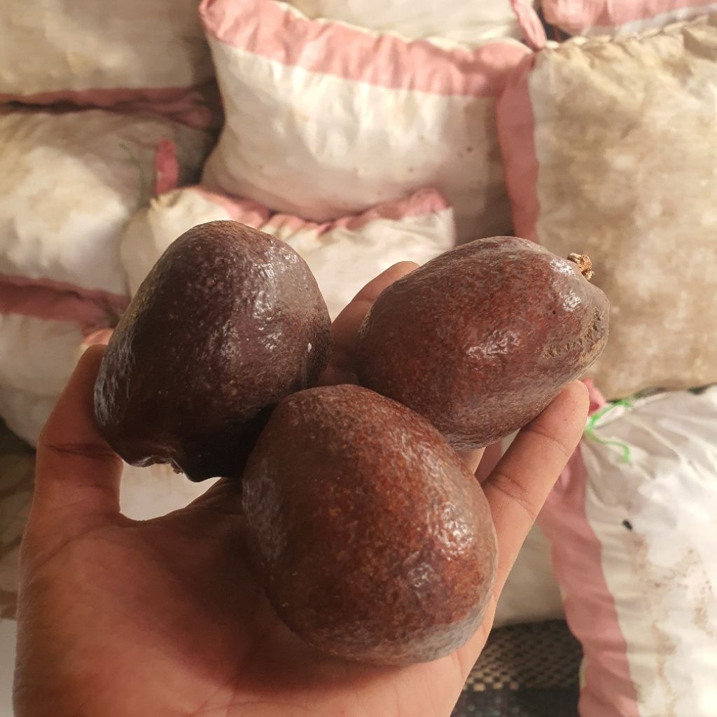 

BUAH ZURIAT MADINAH 100% ASLI || original buah zuriyat madinah pusat tangerang