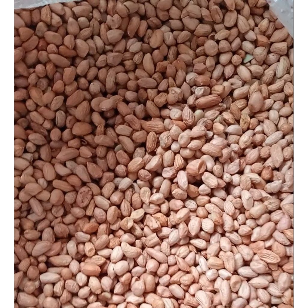 

1 kg kacang tanah biji kecil