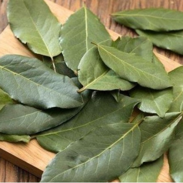 

daun salam fresh petik dari pohon 100g