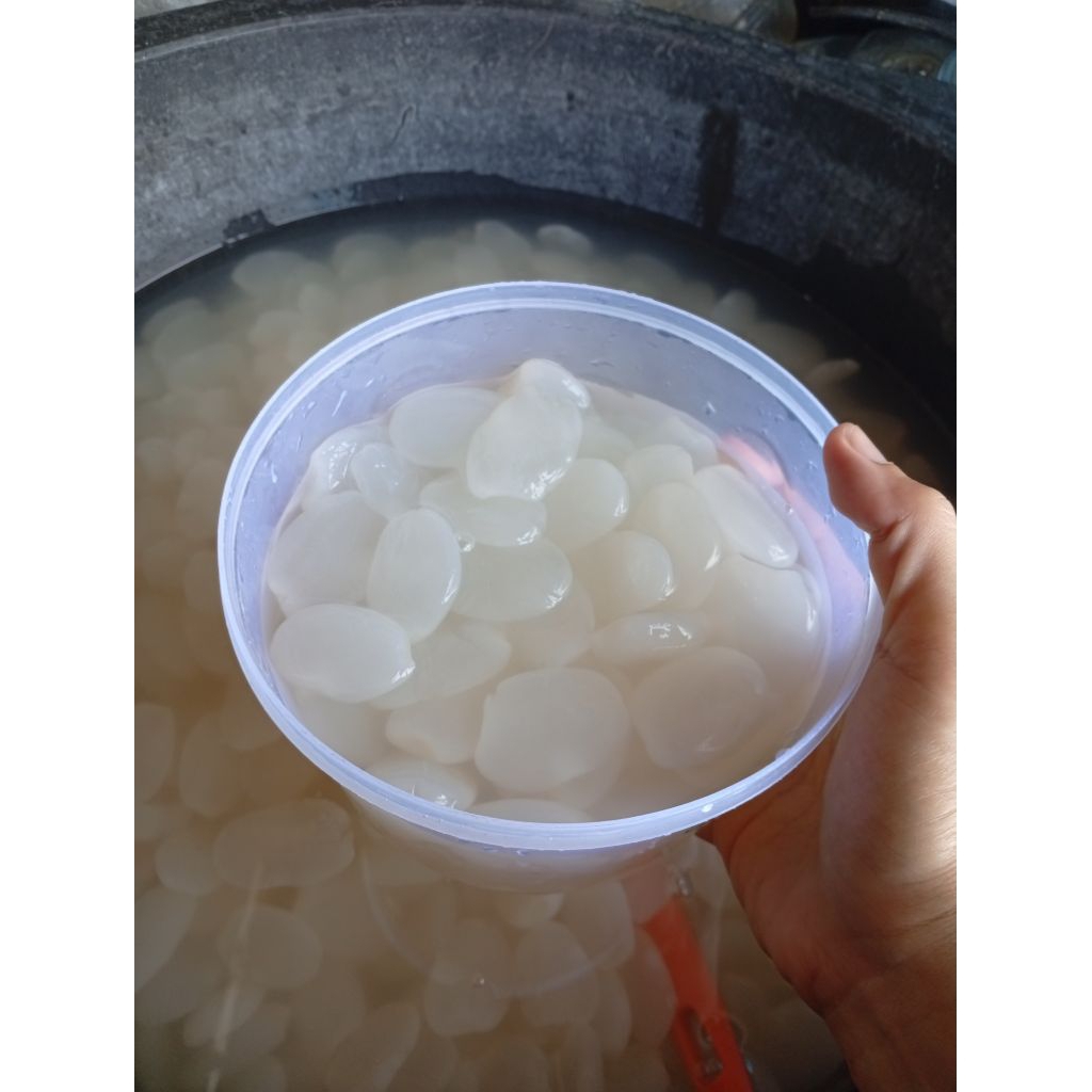 

kolang Kaling gemoy press