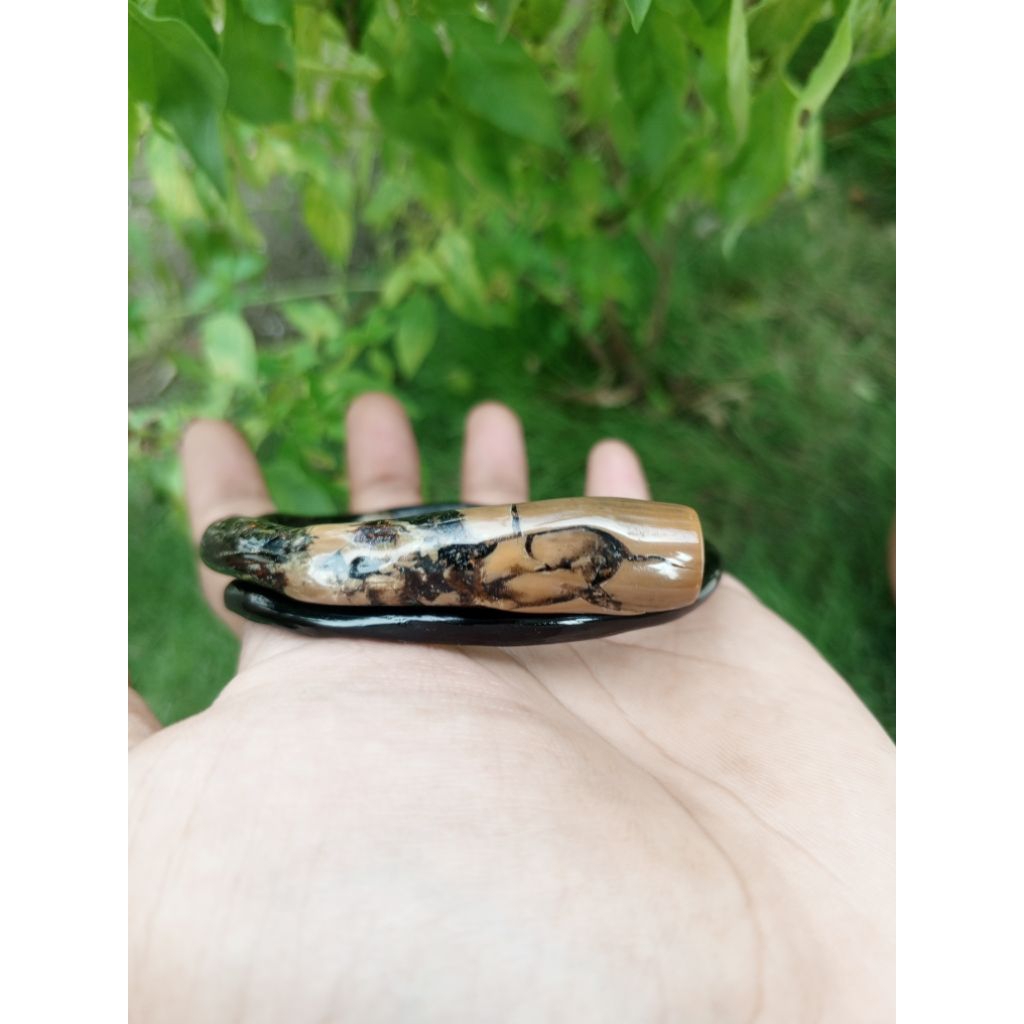 gelang akar bahar bonggol