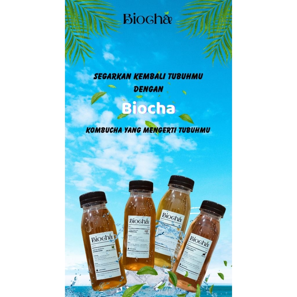 

Teh Kombucha 'BIOCHA'