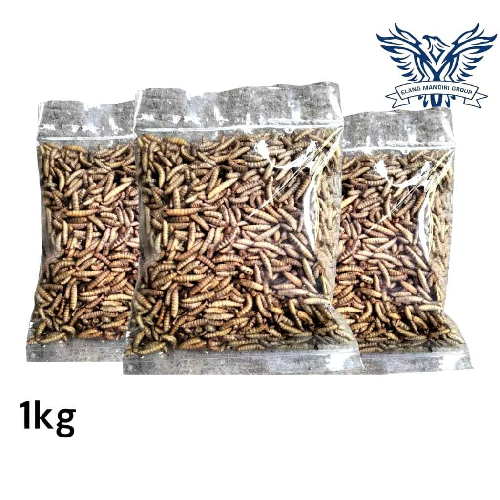 Magot bsf 1kg manggot kering pakan ikan
