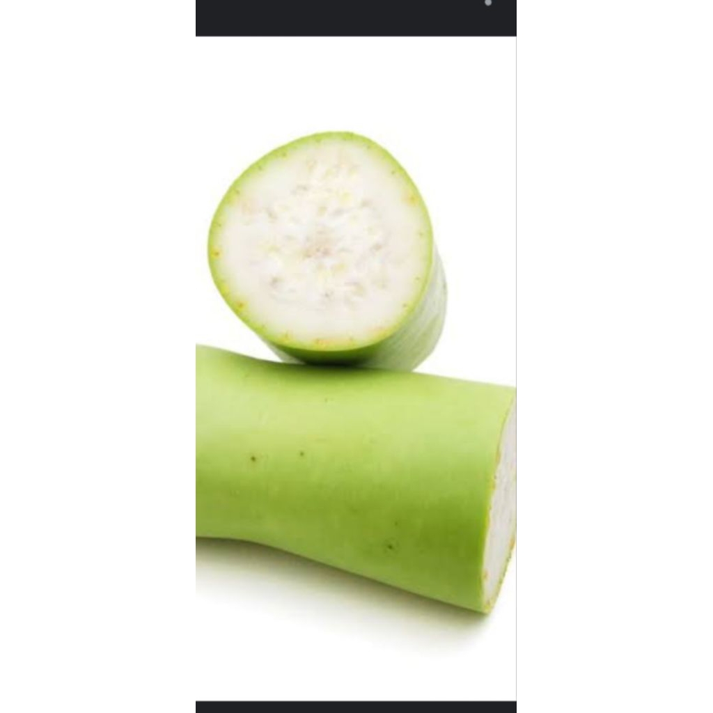 

labu air labu panjang waluh putih, ini buah.nya ya, bukan bibit