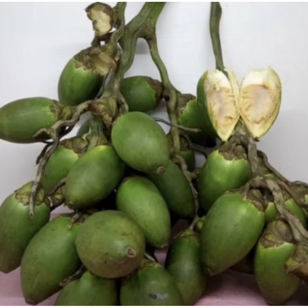 

pinang muda segar 1kg