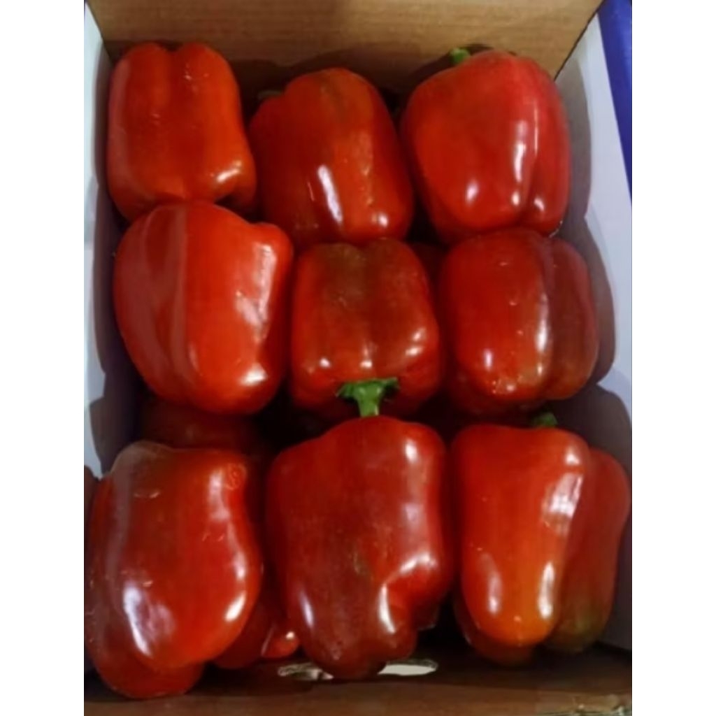 

paprika merah segar 250 gr