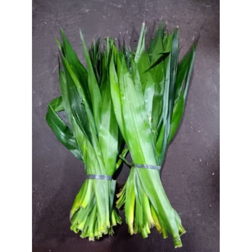 

daun Suji segar 1ikat