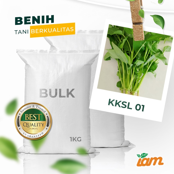 

BULK 1kg – kangkung super lebar OP (KKSL)