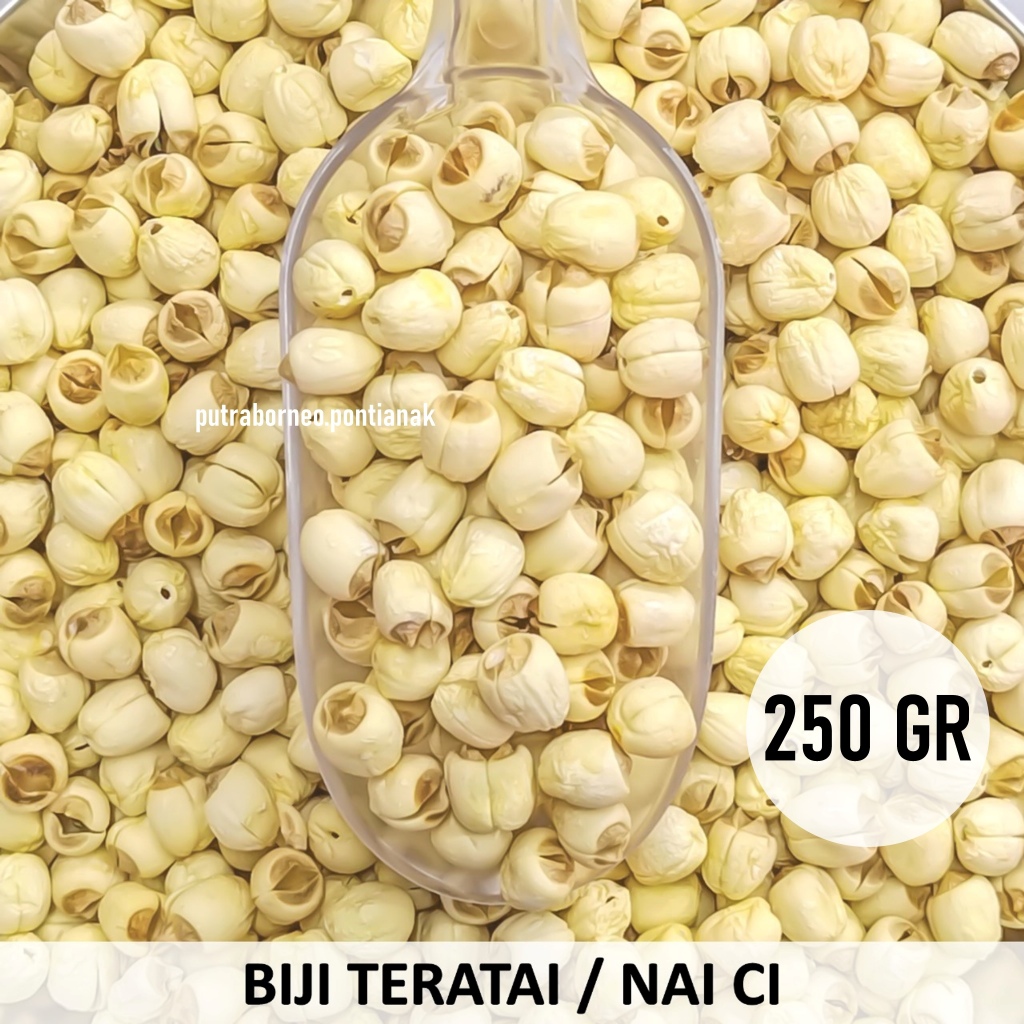 

Biji Teratai 250 gr / Lotus Seed / Lianzi / Lien ci Bahan Sup Tim Ayam / Peach Gum Dessert