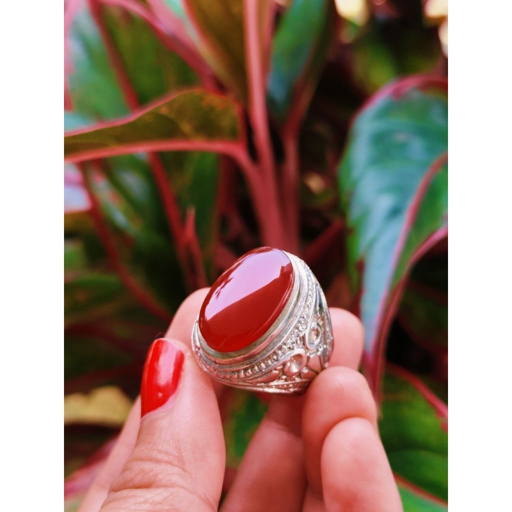 BATU RED CEMPAKA  BENGKULU | BATU AKIK MERAH ASLI NATURAL