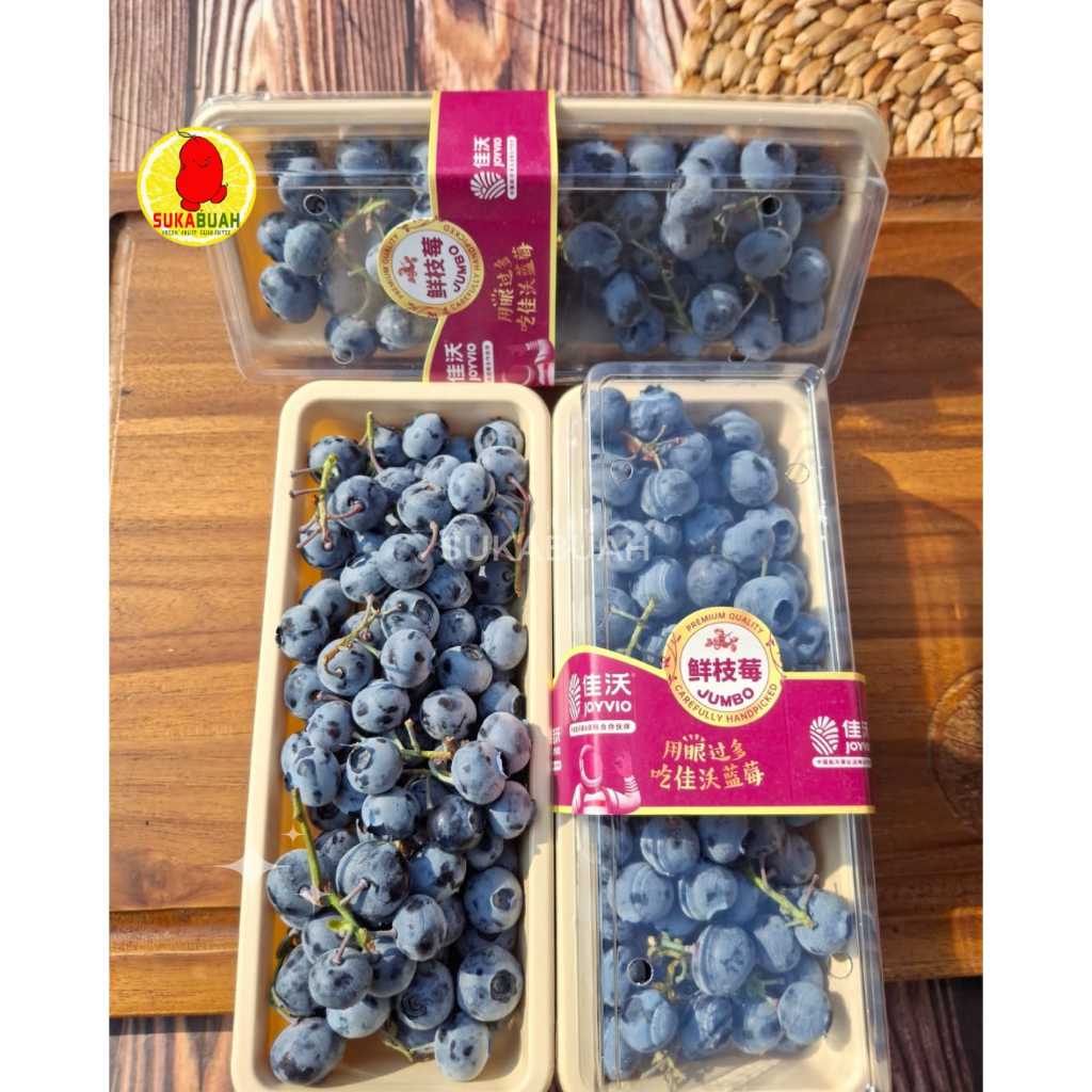 

BLUEBERRY JOYVIO CHINA FRESH - SUKABUAH