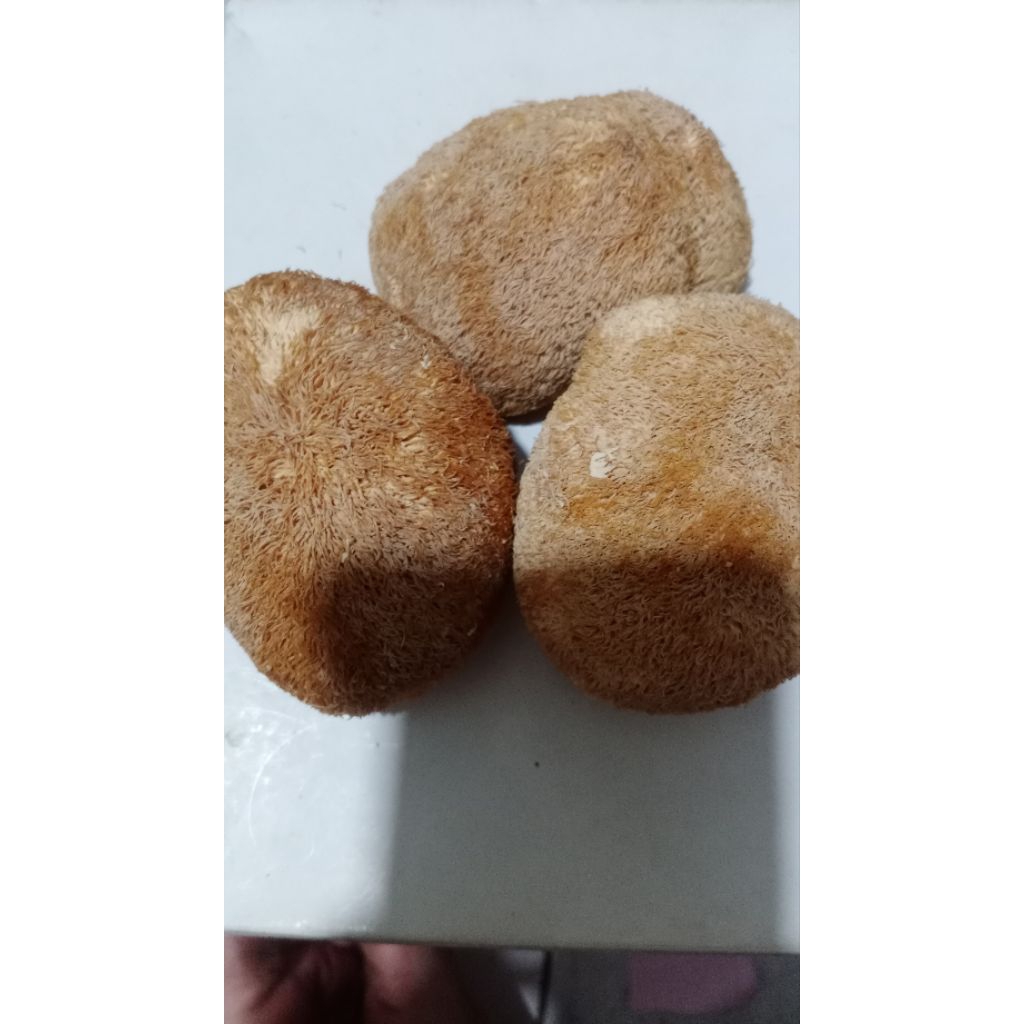 

jamur monyet kering 250gram