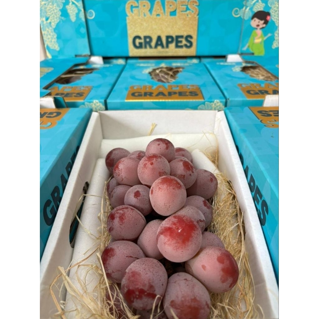 

[PREMIUM] Buah Anggur Queen Nina 1 Box isi 3 Giftbox – Fresh Fruit Gift Box Elegan & Eksklusif
