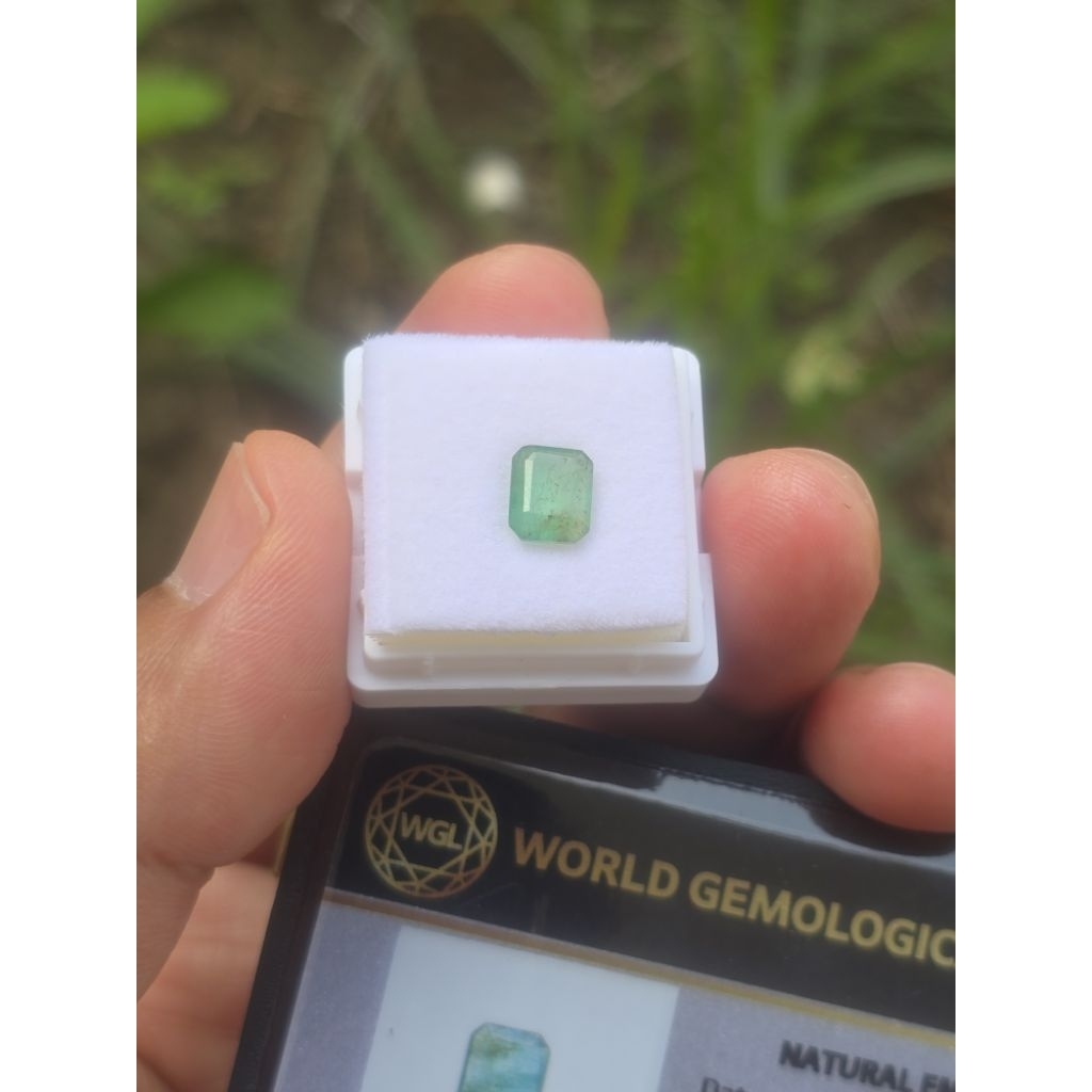 Zamrud Zambia + Memo WGL