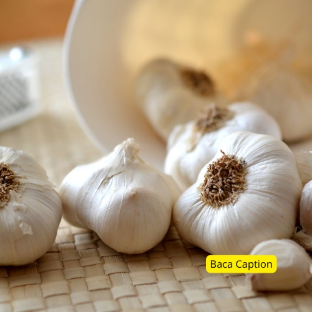 

Bawang Putih Segar Langsung Pasar – Wangi & Siap Masak