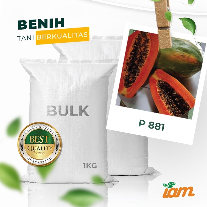 

BULK 1kg – pepaya thailand F1 (P 881)